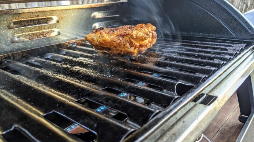 portable grill - single-burner options, like the cuisinart grillster, often don&#039;t...