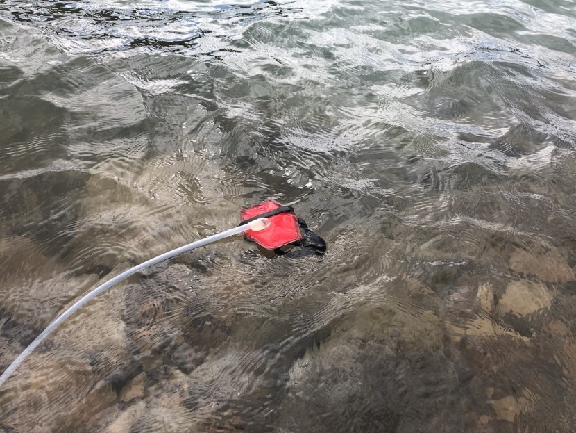 msr hyperflow microfilter - the float keeping the intake off the bottom of the lake, which helps...