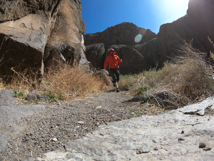 the north face ultra 109 wp - the ultra 109s are one of the best shoes in this review for trail...