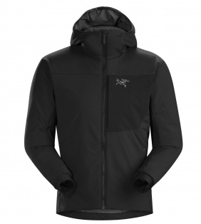 Arc'teryx Proton LT Hoody Review | Tested by GearLab