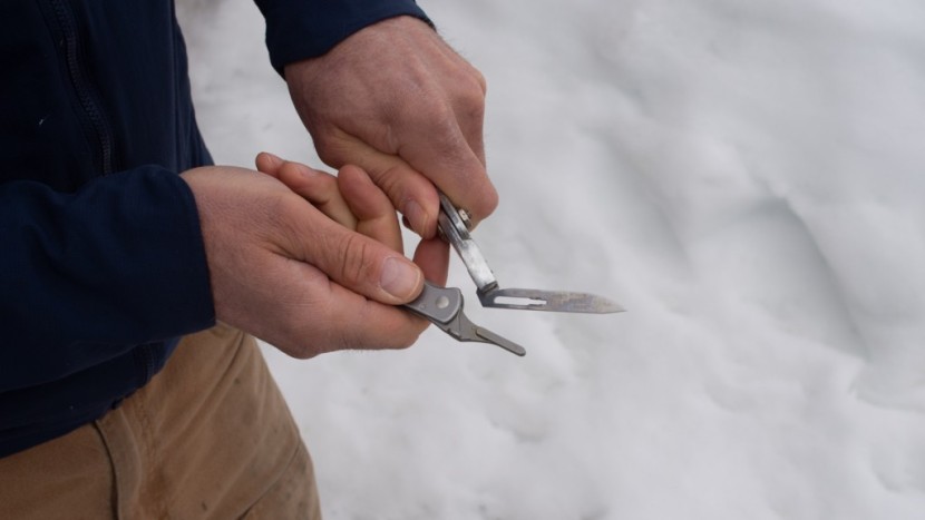 havalon piranta original - in a pinch (pun intended) one can change the piranta blade with...