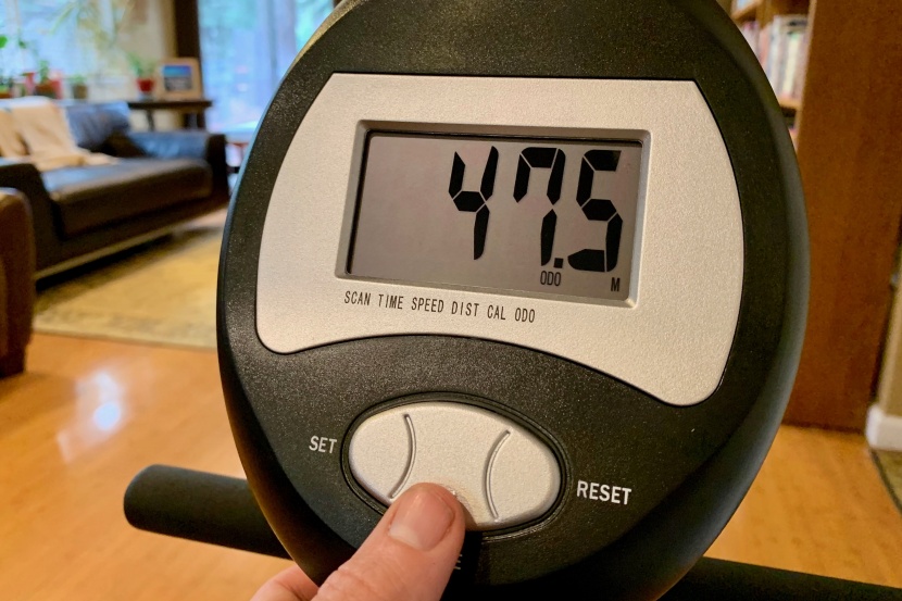 marcy recumbent me-709 - its certainly basic, but the console displays all the relevant...