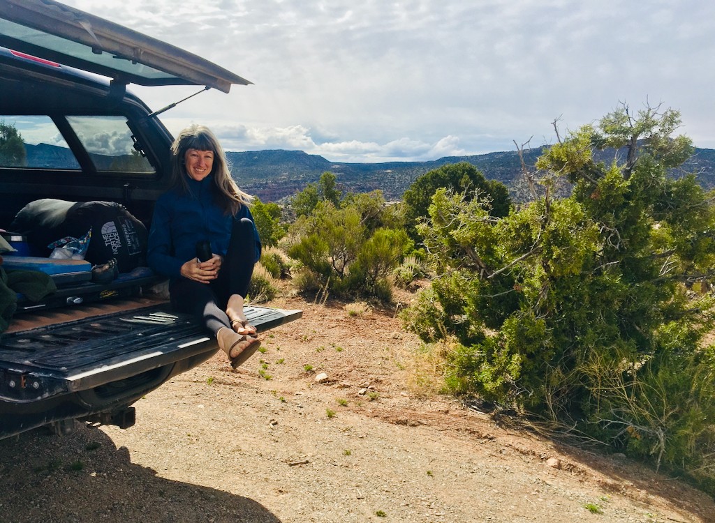 softshell jacket womens - while the apex bionic is too heavy to be ideal for technical...