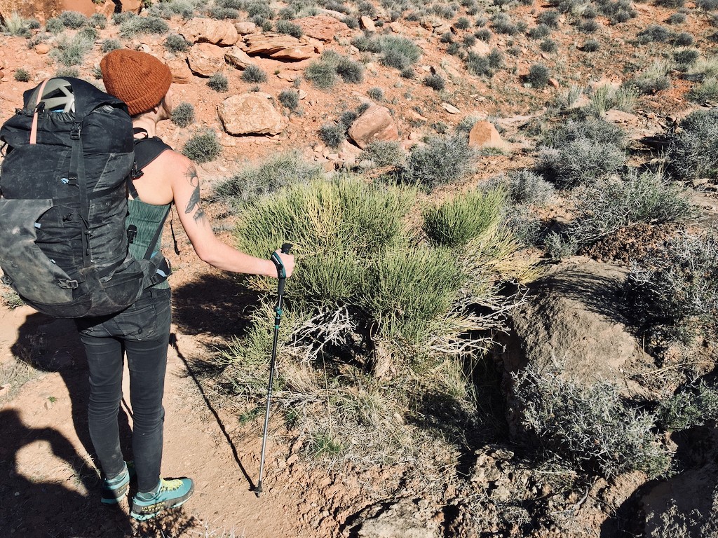 How to Choose the Right Trekking Poles