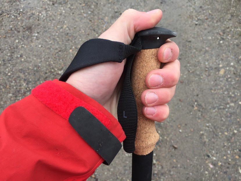 Alpine FLZ Black Diamond Trekking Poles