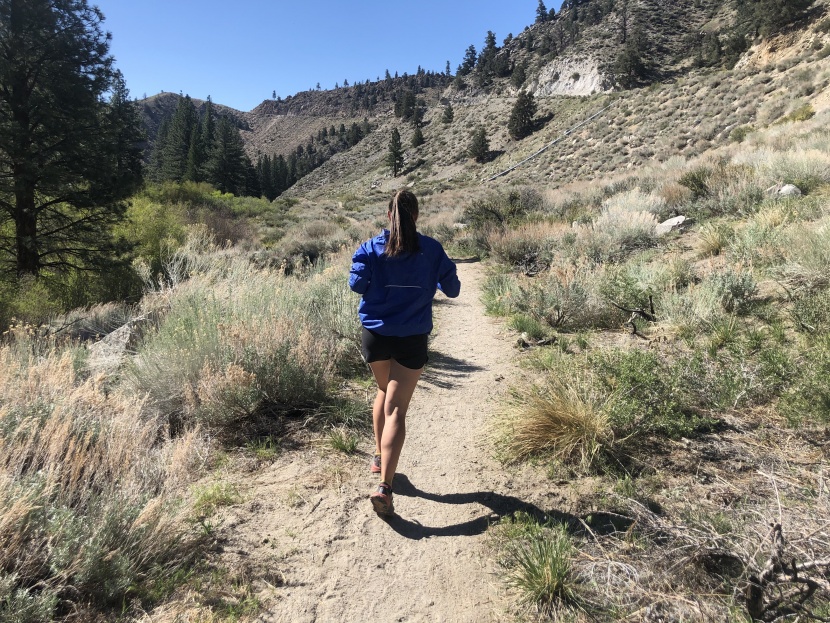 brooks lsd pullover for women - the lsd has tons of great features, making it an easy choice for...