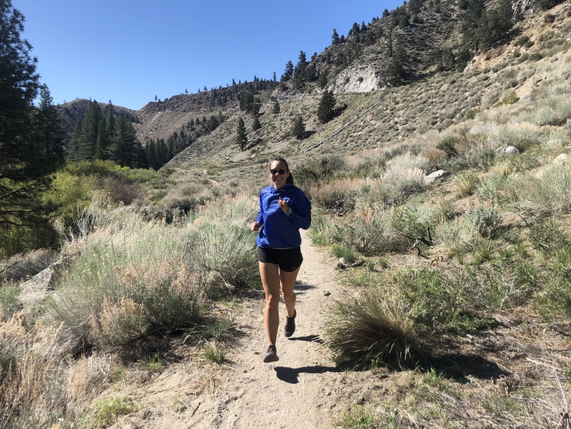 brooks lsd pullover for women - the lsd has a basic design and decently comfortable fabric.