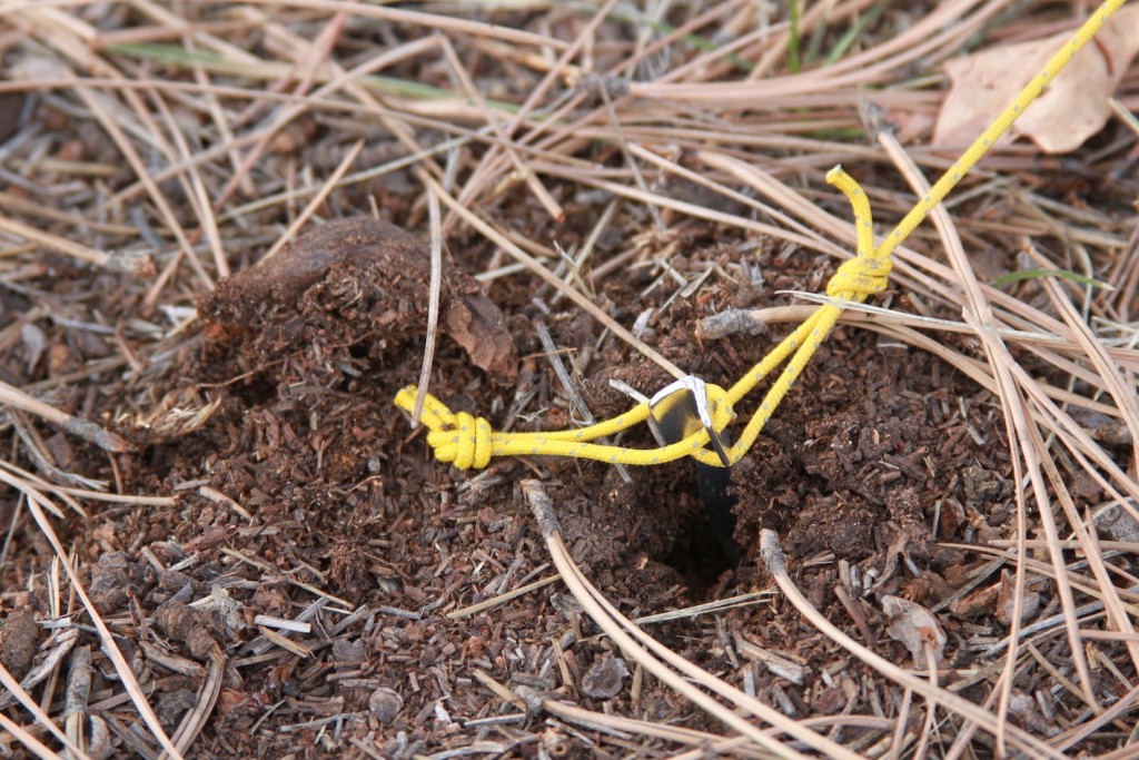 ultralight tent - be sure you bring stakes that are high quality with notches in the...