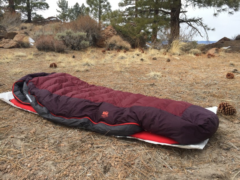 rei co-op joule 21 - the rei joule is a comfy bag for a decent price.