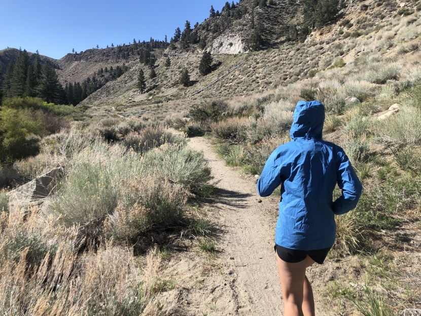 patagonia storm racer for women - the storm racer was overkill on this sunny day, but if conditions...