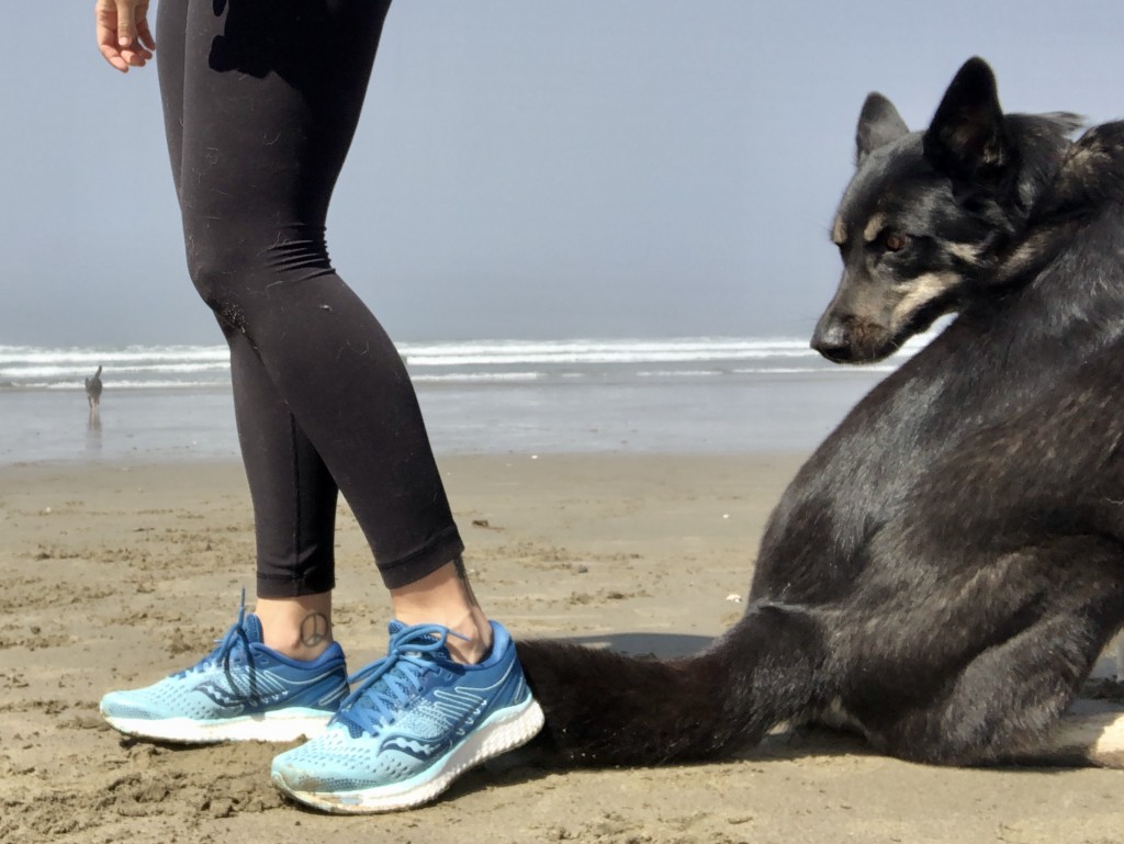 running shoes womens - shopping tip #4; make sure your dog is mesmerized by your shoes.