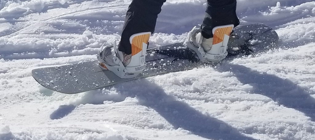 capita birds of a feather - while it isn&#039;t the best at speed, we were pleasantly surprised with...