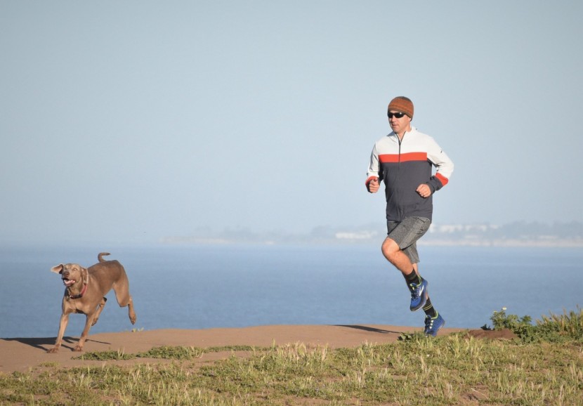 Dog running outlet jacket