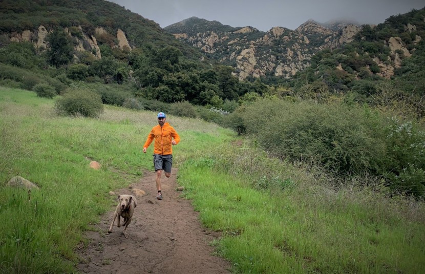 patagonia houdini full-zip - the houdini&#039;s dwr treatment repels light drizzle and dew from...