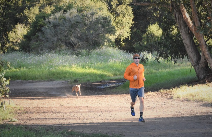 patagonia houdini full-zip - the houdini provides excellent value for running, hiking, or any...