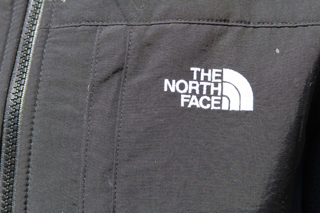 The North Face Denali 2 Hoody - Women's Review