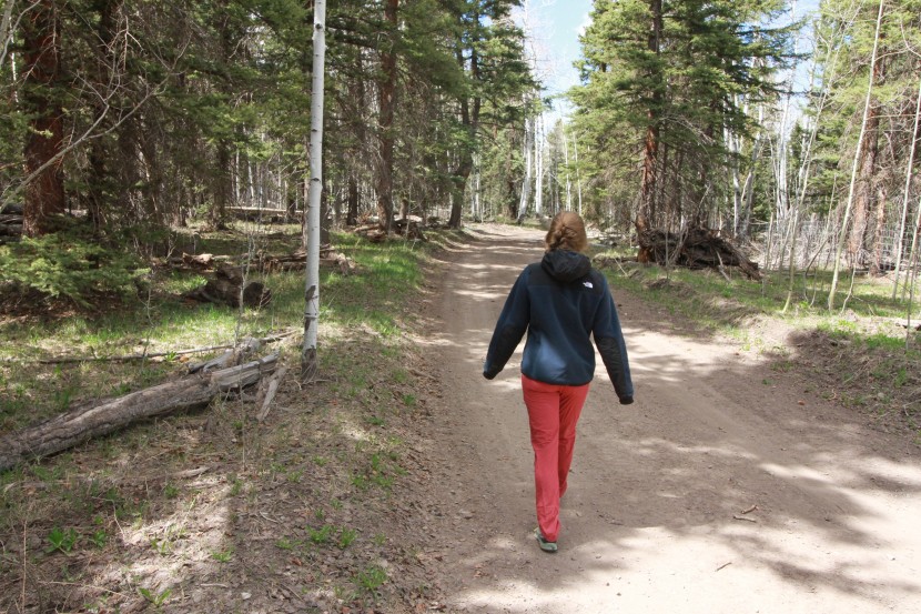 the north face denali 2 hoody for women - the north face denali 2 hoody is more of a jacket and less of a...