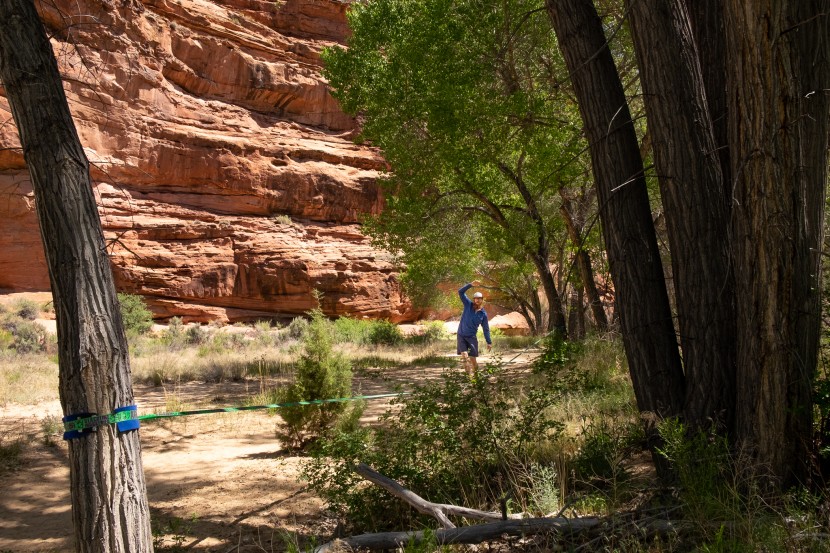 slackline - though aimed at the advanced walker, the aggro line is a decent...