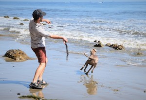 Product photo of Ecco Yucatan