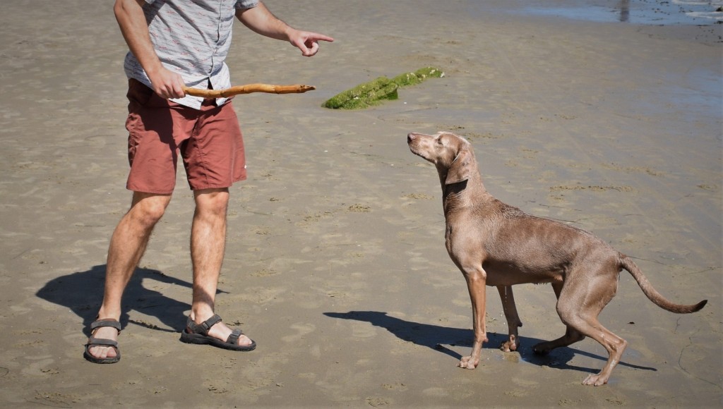 sandals mens - the katavi 2 from teva provides excellent value, respectable...