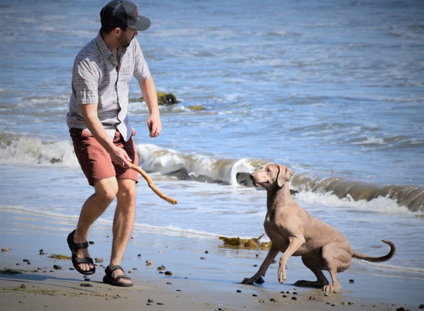 the katavi is comfortable for casual walks and rugged adventures...