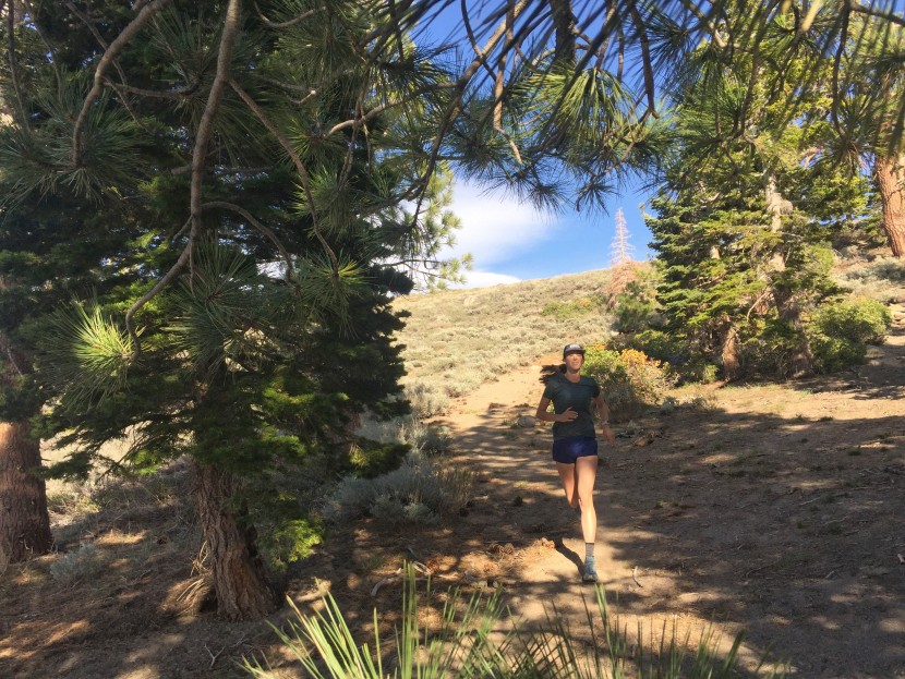 salomon xa tee for women - whether your daily miles take you on forest trails or your local...