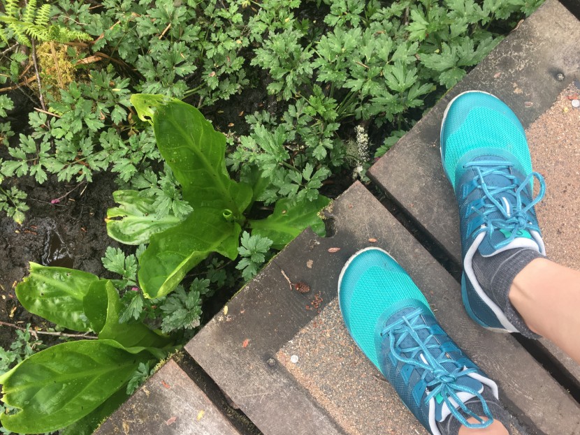 merrell trail glove 5 eco for women - loving the vibrancy of life in the merrell trail glove 5 eco.