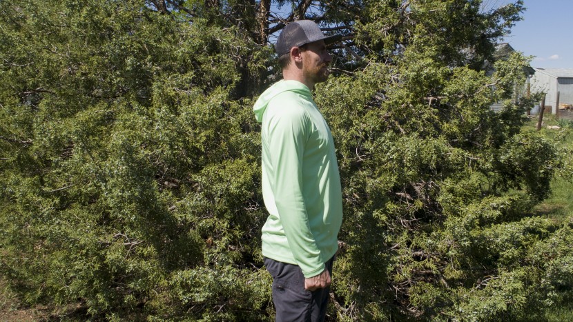 ☆Patagonia☆ Tropic comfort Hoody Ⅱ C4448 Patagonia Tropic Comfort II Hoody Review | Tested