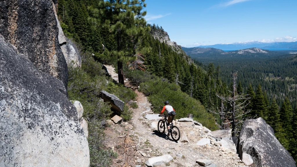 trail mountain bike - you gotta get up to get down. the ripmo v2 is great at both.