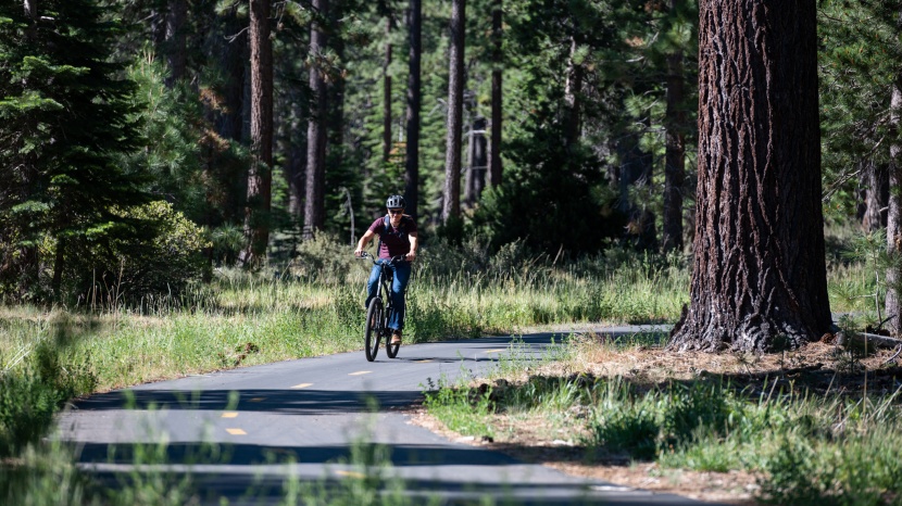 electra townie go! 7d - we were pleasantly surprised by the townie&#039;s range with just a 309wh...