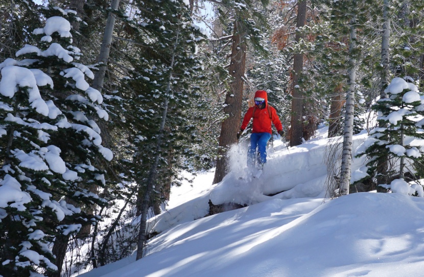 arc&#039;teryx alpha fl - another season of hardshell testing, and another editors&#039; choice...