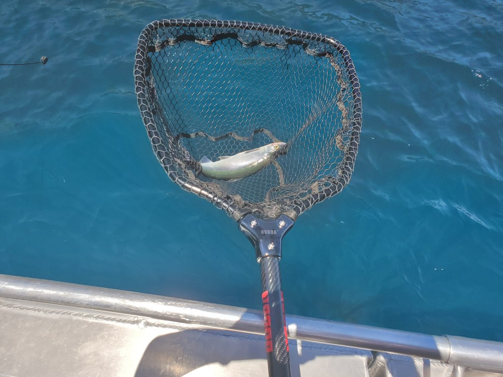 Large Fishing Net Collapsible Fish Landing Net Detachable Handle Knotless  Fishing Net Safe Fish Net Durable Dip Net
