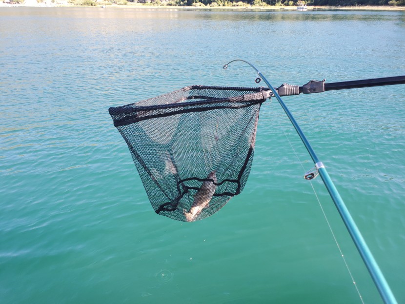 fishing net - with some nifty features, like the quick release switch to extend...