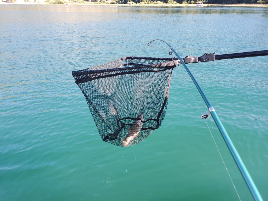 RESTCLOUD Fishing Landing Net with Telescoping Pole Handle Extends to 50  Inches