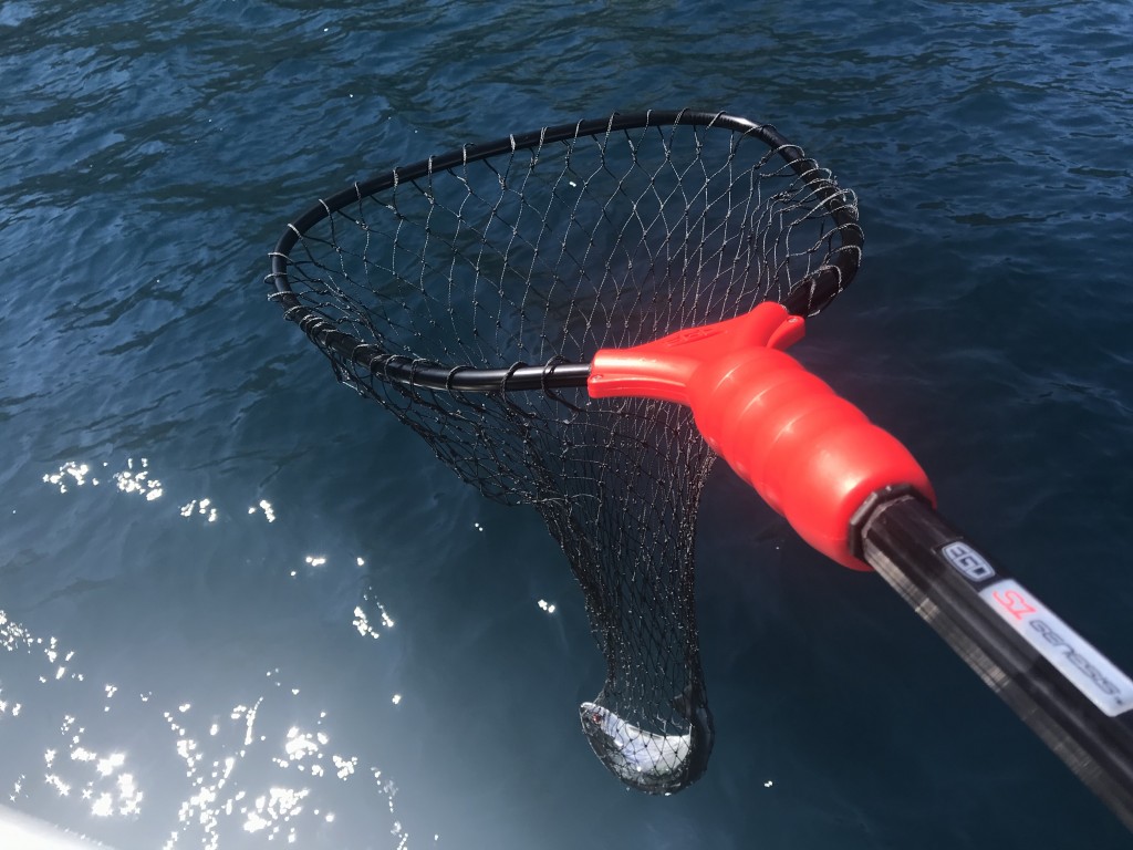Basket Fishing Landing Retractable Net Aluminum Pole Flat Large Fish Rubber