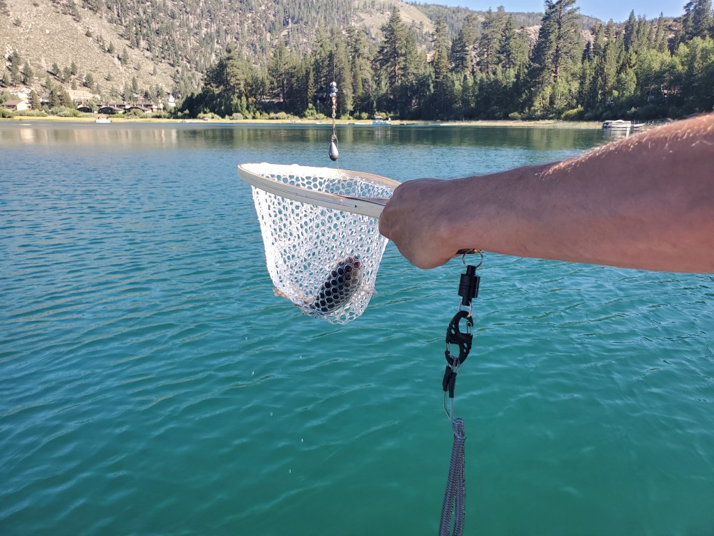Runquan Fly Fishing Landing Net Hand Nets Carp Bass Trout Net Large Other L