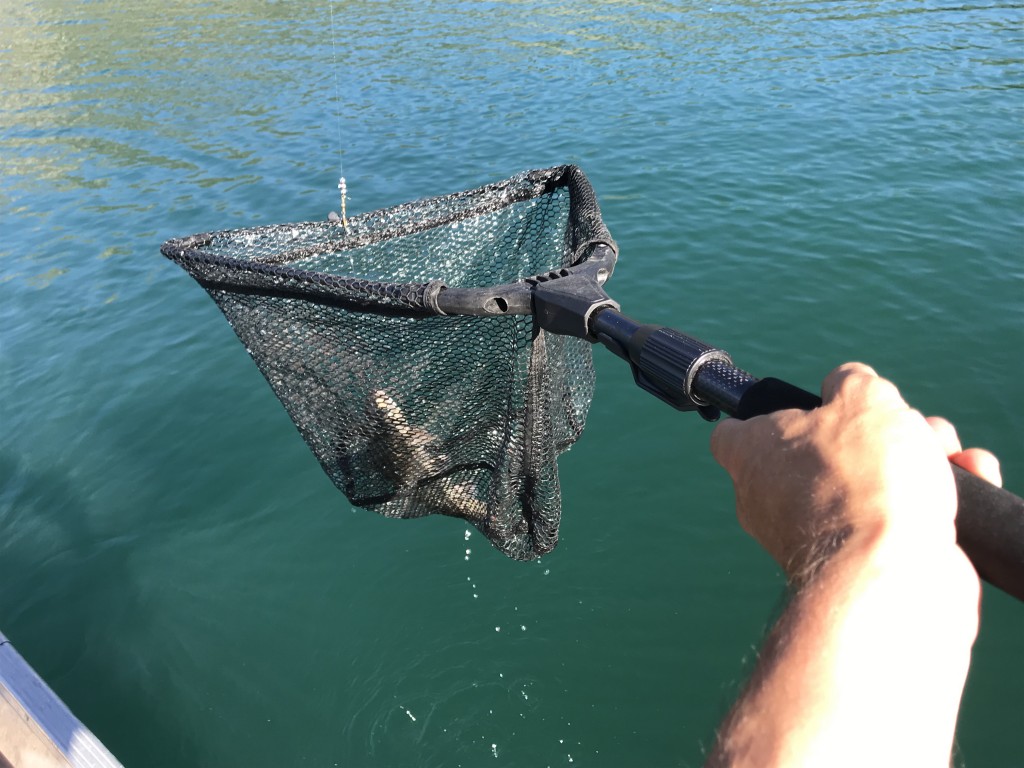 SANLIKE Fishing Net Folding Landing Net with Extra Long Telescoping Pole  Handle, Foldable Rubber Coated Fishing Net for Easy Catch Release, Compact