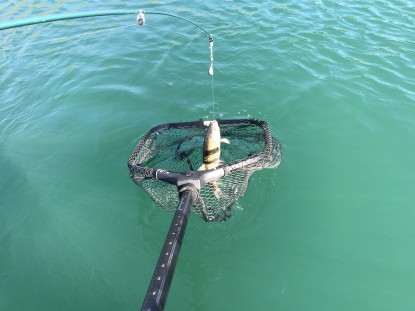 What nets catch kokanee? (Reviewing 3 of our nets) 
