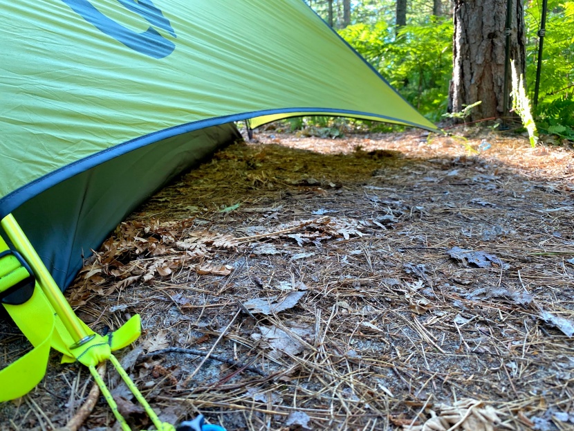 nemo firefly - there is a reliably large gap between the ground and the fly which...