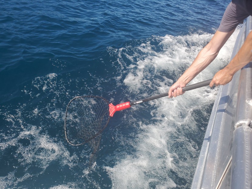 fishing net - you can&#039;t beat the versatility of the ego s1 genesis. with an...