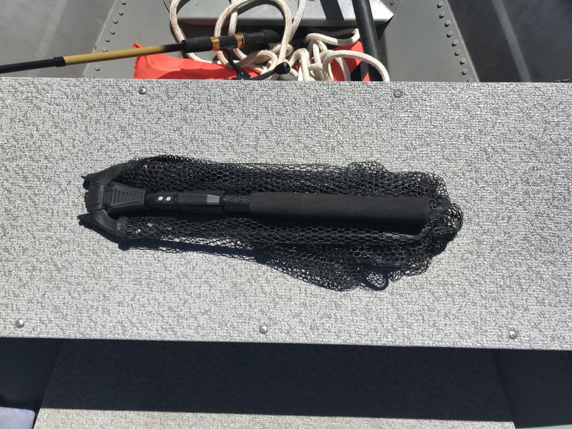 fishing net - if you want maximum portability, look no further than the plusinno...