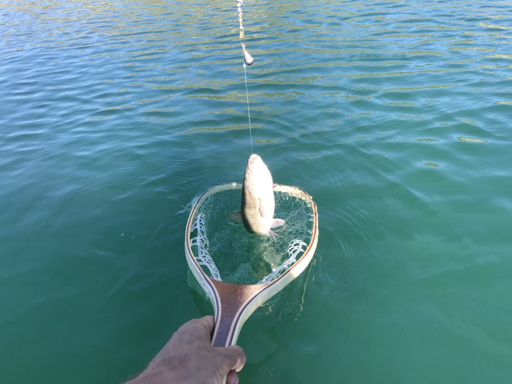 Picking the Perfect Fishing Net
