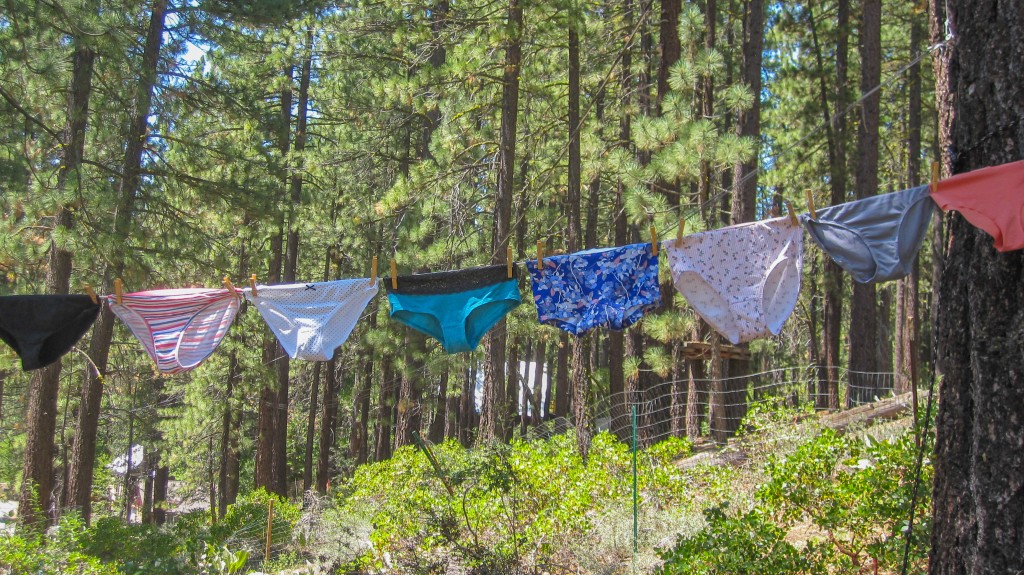 POKARLA Women's Underwear Tag Free Cotton Stretch Bikini Panty