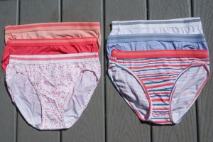 The Fruit of the Loom Bikini offers great value.