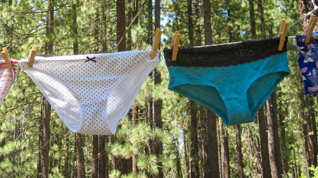 Emprella Underwear Women Thong Pack - No Show Panties, Seamless