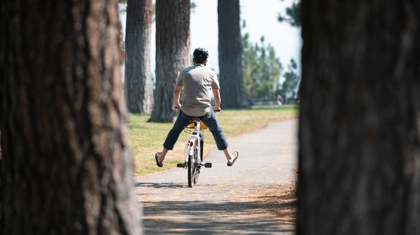 nakto camel 250 - you don&#039;t need to pedal the nakto. its throttle can cruise along at...