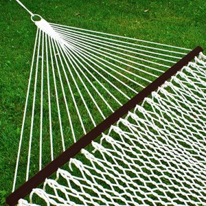 best budget hammock