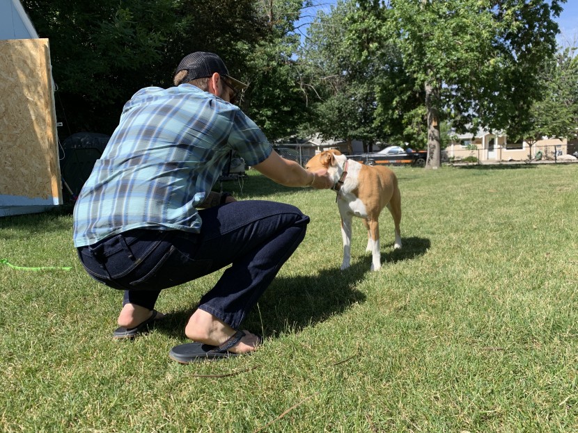 jeans mens - the rustler jeans are a great value for a durable pant.