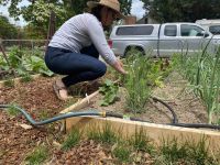 Thanks to its great ROM, the LEE Women's Instantly Slims Classic...