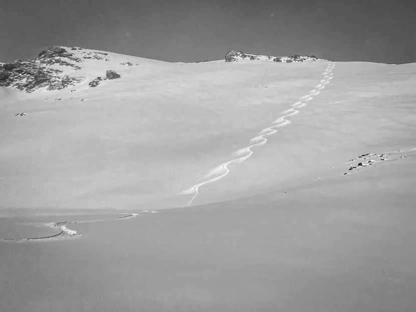 movement alp tracks 100 - late winter, low to moderate avalanche hazard, ready legs, tuned...